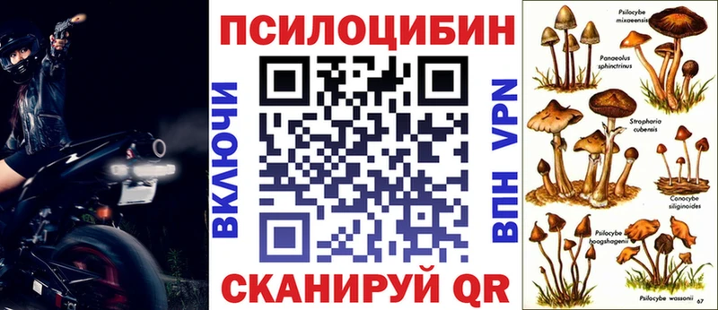 Галлюциногенные грибы Psilocybine cubensis  купить закладку  Холм 